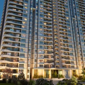 WhatsApp Image 2025-11-21 at 08.28.12 (1)