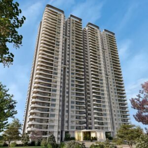 WhatsApp Image 2025-11-21 at 08.28.13 (2)